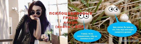 индика Вязьма