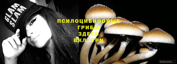 индика Вязьма