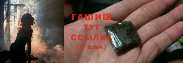 индика Вязьма
