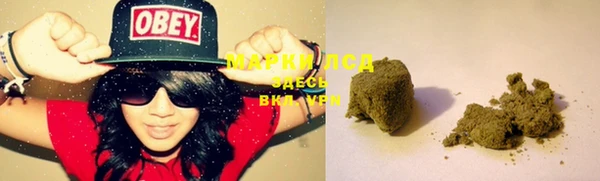 индика Вязьма