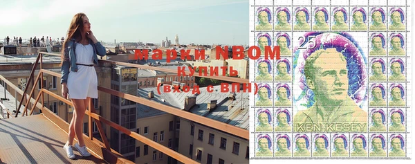 индика Вязьма