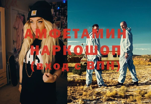 индика Вязьма
