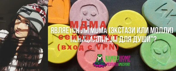 индика Вязьма
