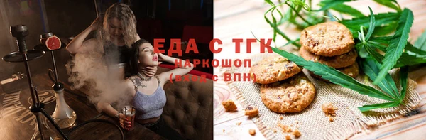 индика Вязьма