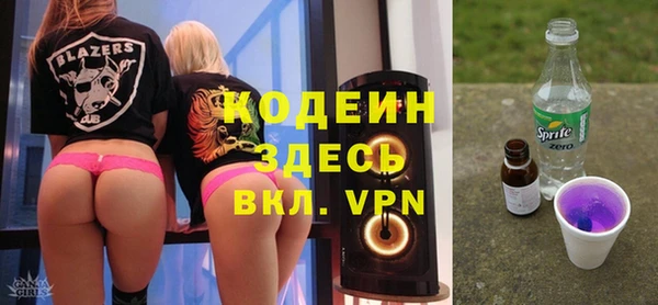 индика Вязьма