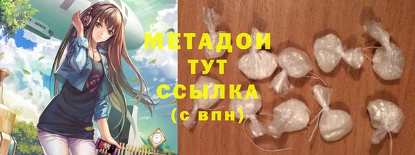 индика Вязьма